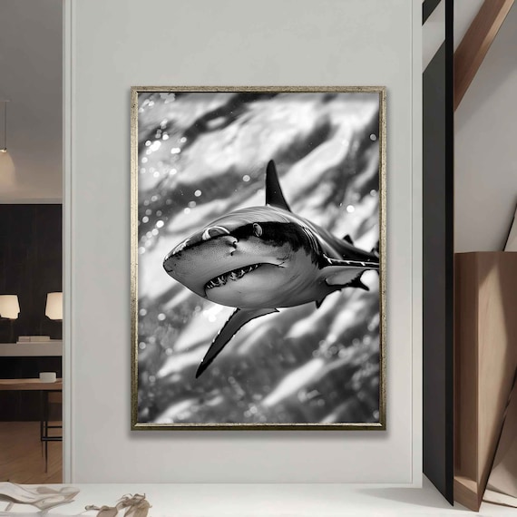 Great White Shark Black And White Underwater Portrait Ocean Wall Art