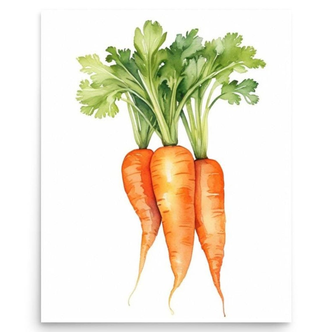 Three Upright Carrots With Leafy Green Tops Watercolor Kitchen Poster