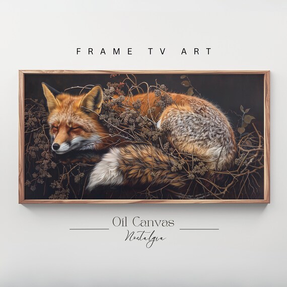 Sleeping Red Fox Curled In Winter Branches Dark Rustic Oil Wall Art Poster