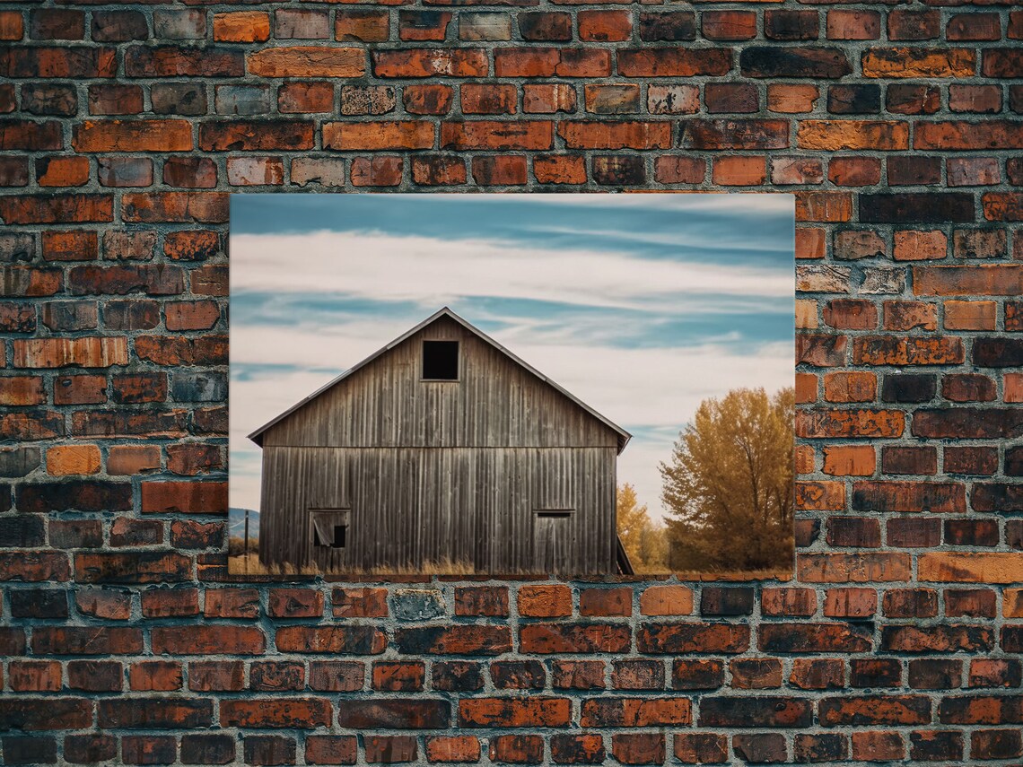 Weathered Wooden Barn Autumn Tree Rural Landscape Photography Poster