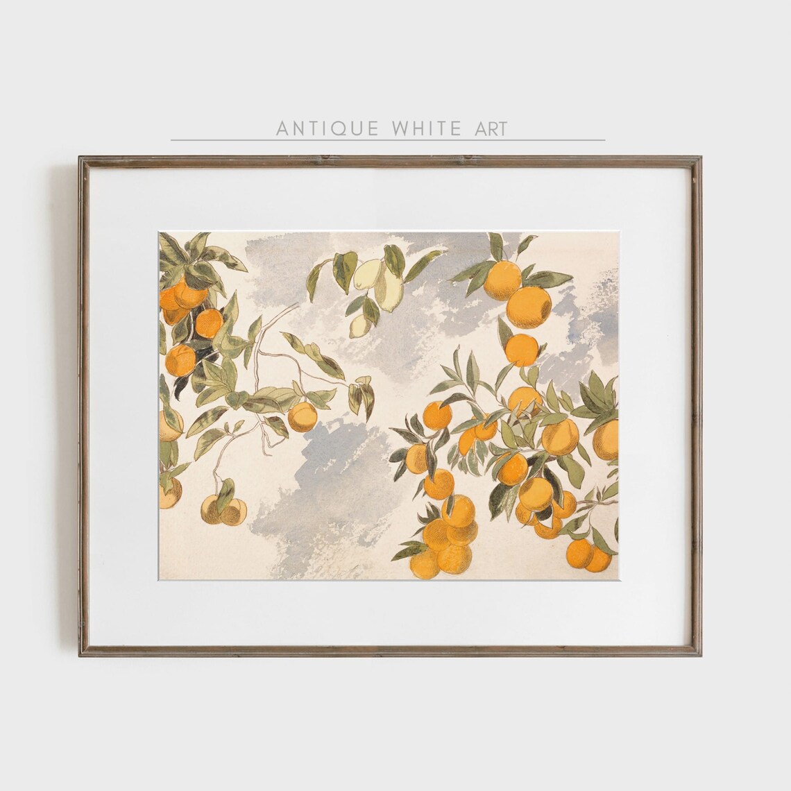 Orange Lemon Tree Vintage Botanical Art Print - Image 3