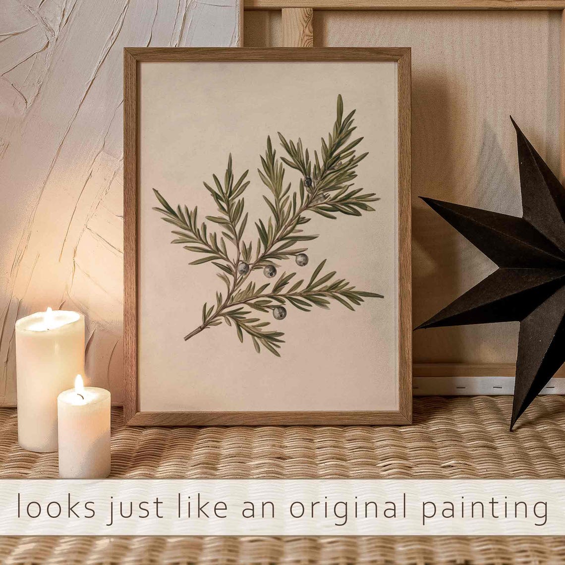 Juniper Branch With Silver Blue Berries Vintage Botanical Print - Image 2