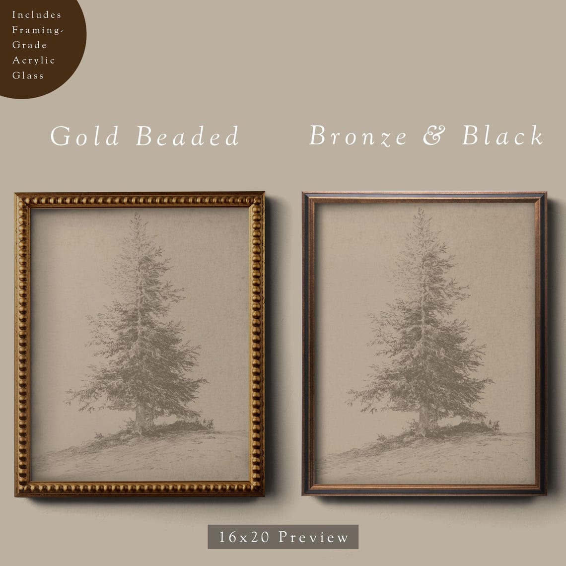 Broad Pine Tree Sketch Antique Botanical Neutral Wall Poster - Image 4
