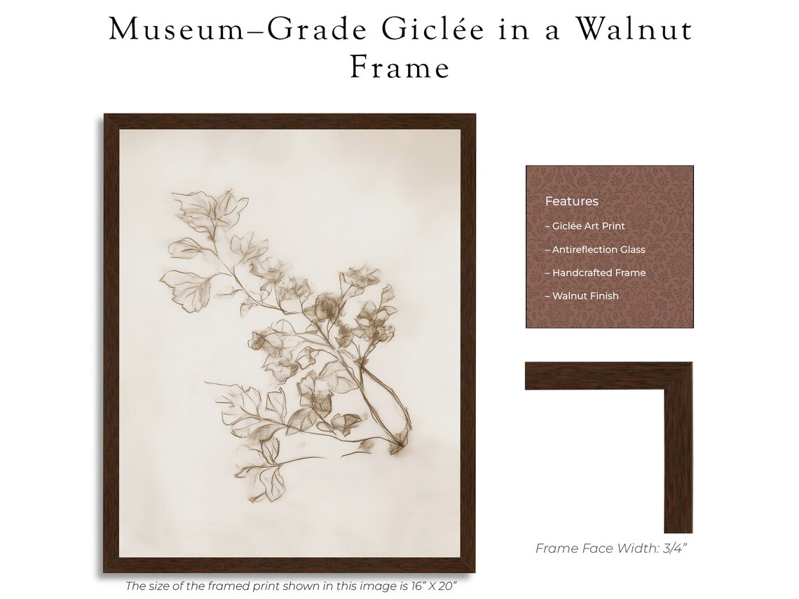 Antique Branch Sketch, Vintage Botanical Art Print - Image 3