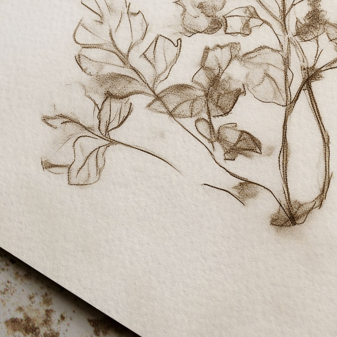 Antique Fall Branch Drawing, Vintage Autumn Sketch Art Print - Image 6