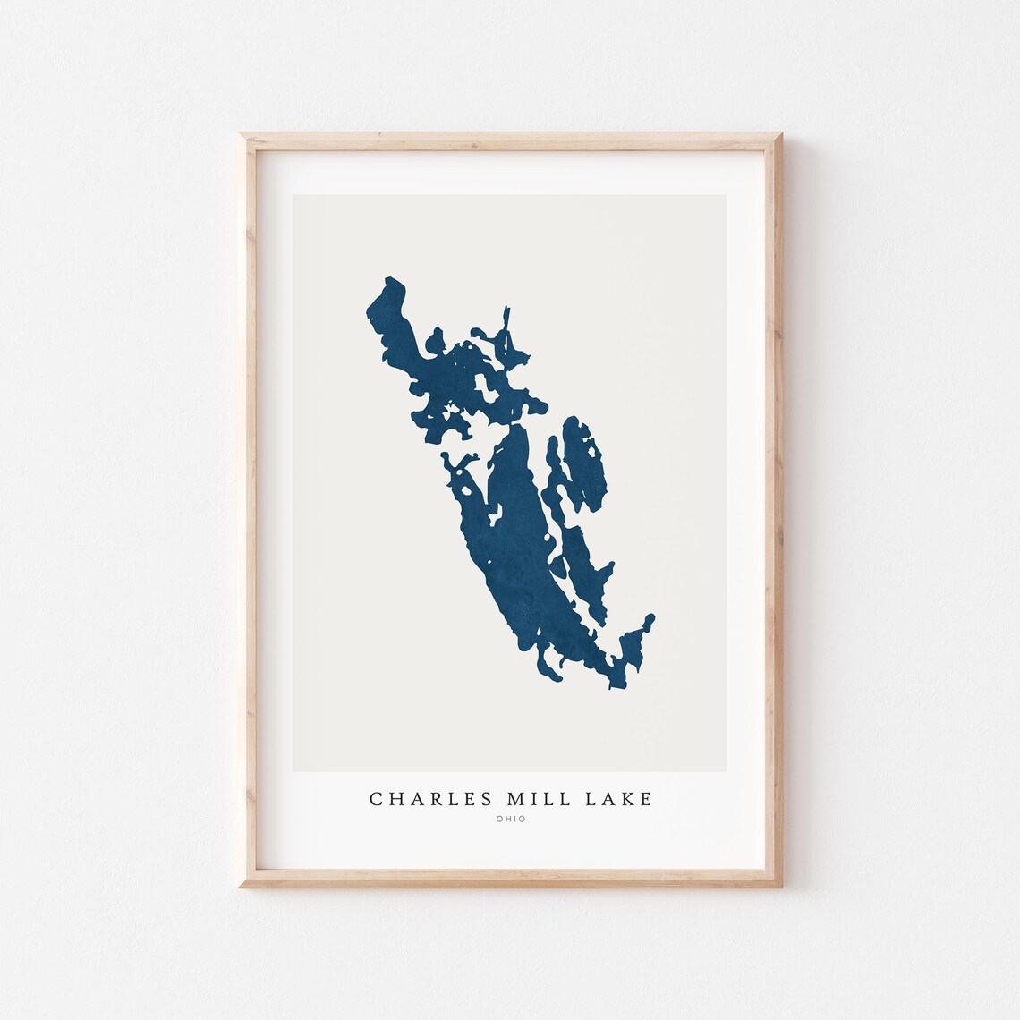 Charles Mill Lake Print Poster Art Wall Map Ohio