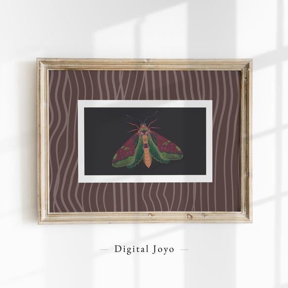 Green And Red Moth Wall Art Print