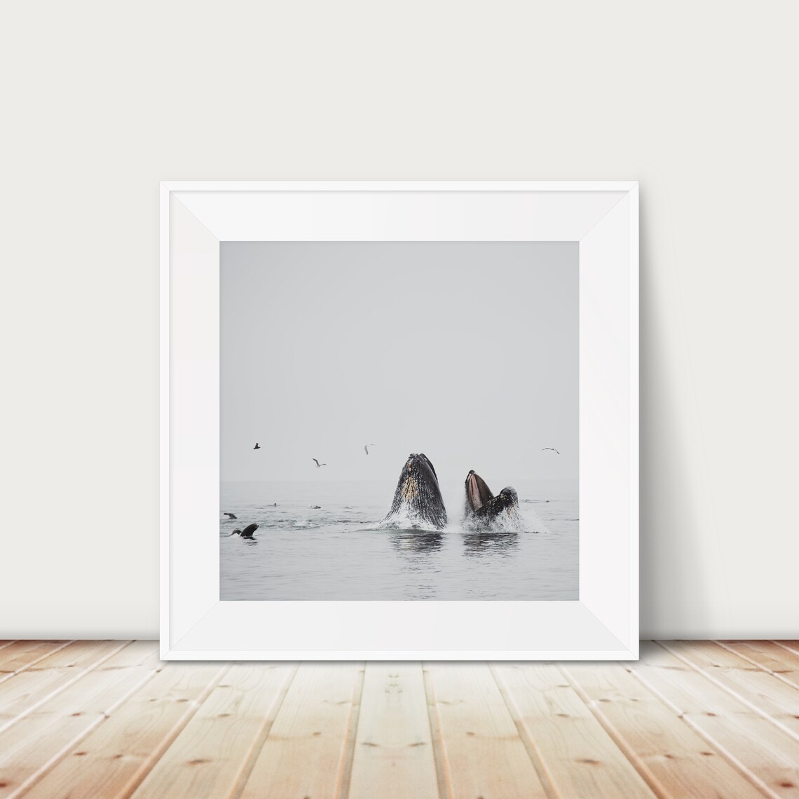 Humpback Whale Photograph Pacific Ocean Animal Print
