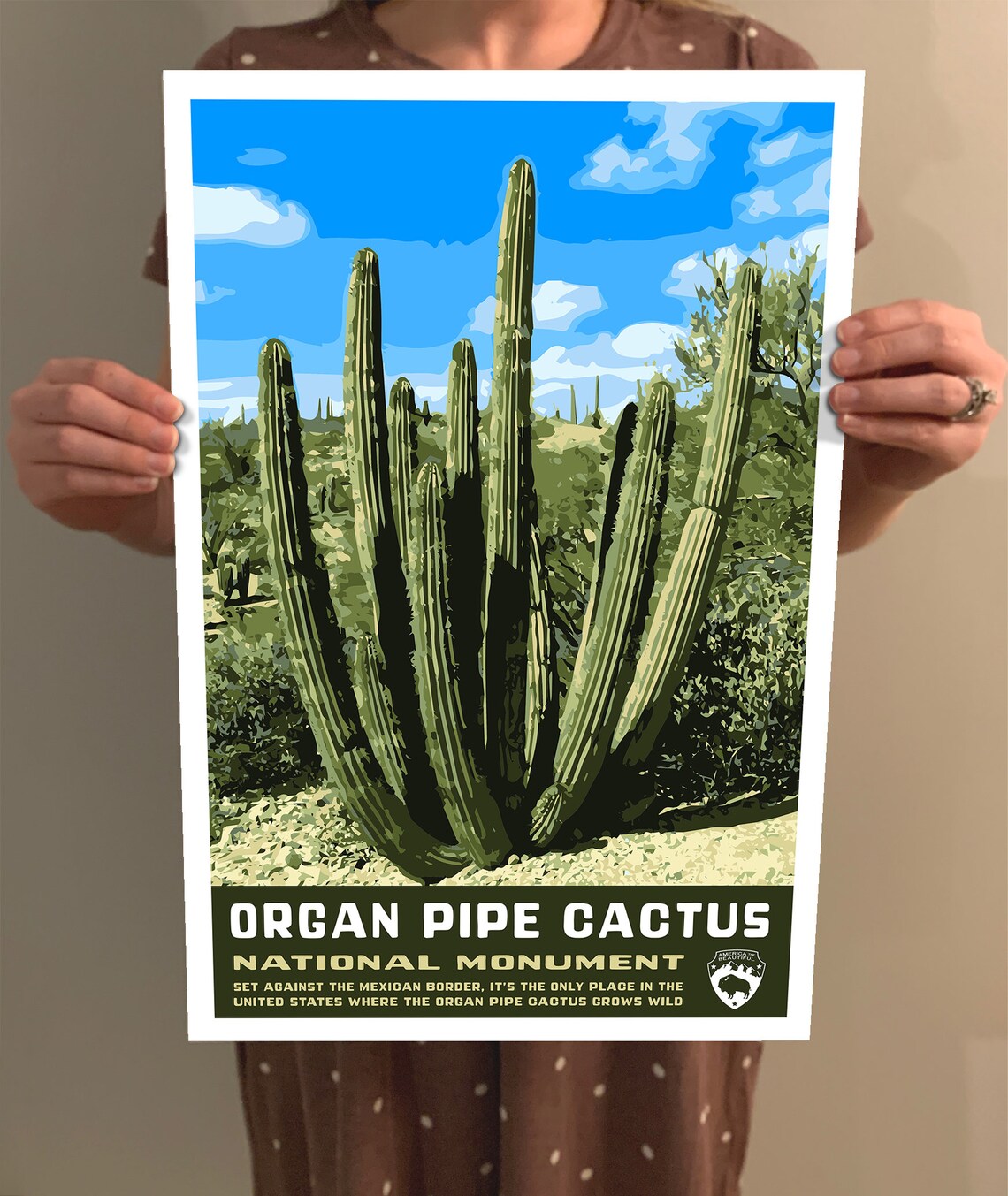 Organ Pipe Cactus National Monument, Vintage Travel Poster - Image 2