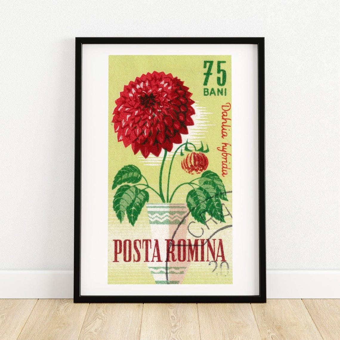 Red Dahlia Romania Postage Stamp 75 Bani Floral Vintage Poster
