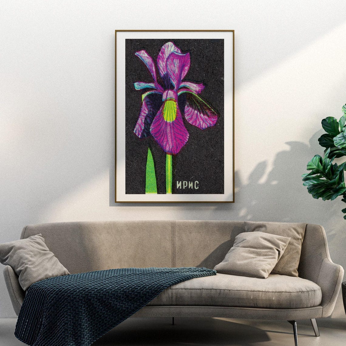 Soviet Iris Flower Matchbox Pink Floral Vintage Botanical Art Poster - Image 3