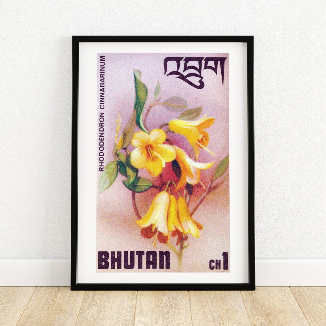 Bhutan Yellow Rhododendron Cinnabarinum Vintage Botanical Stamp Poster