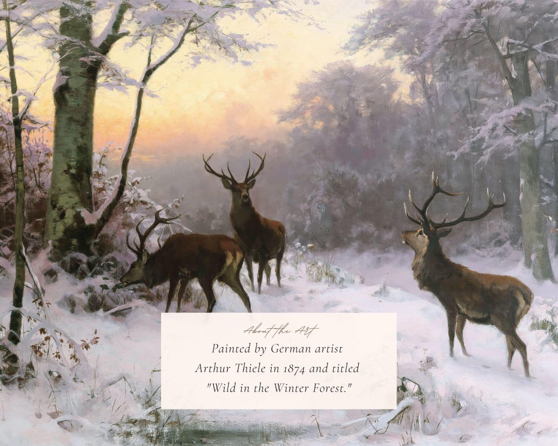 Red Deer Stags In A Snowy Forest At Dawn Antique Wildlife Print - Image 2