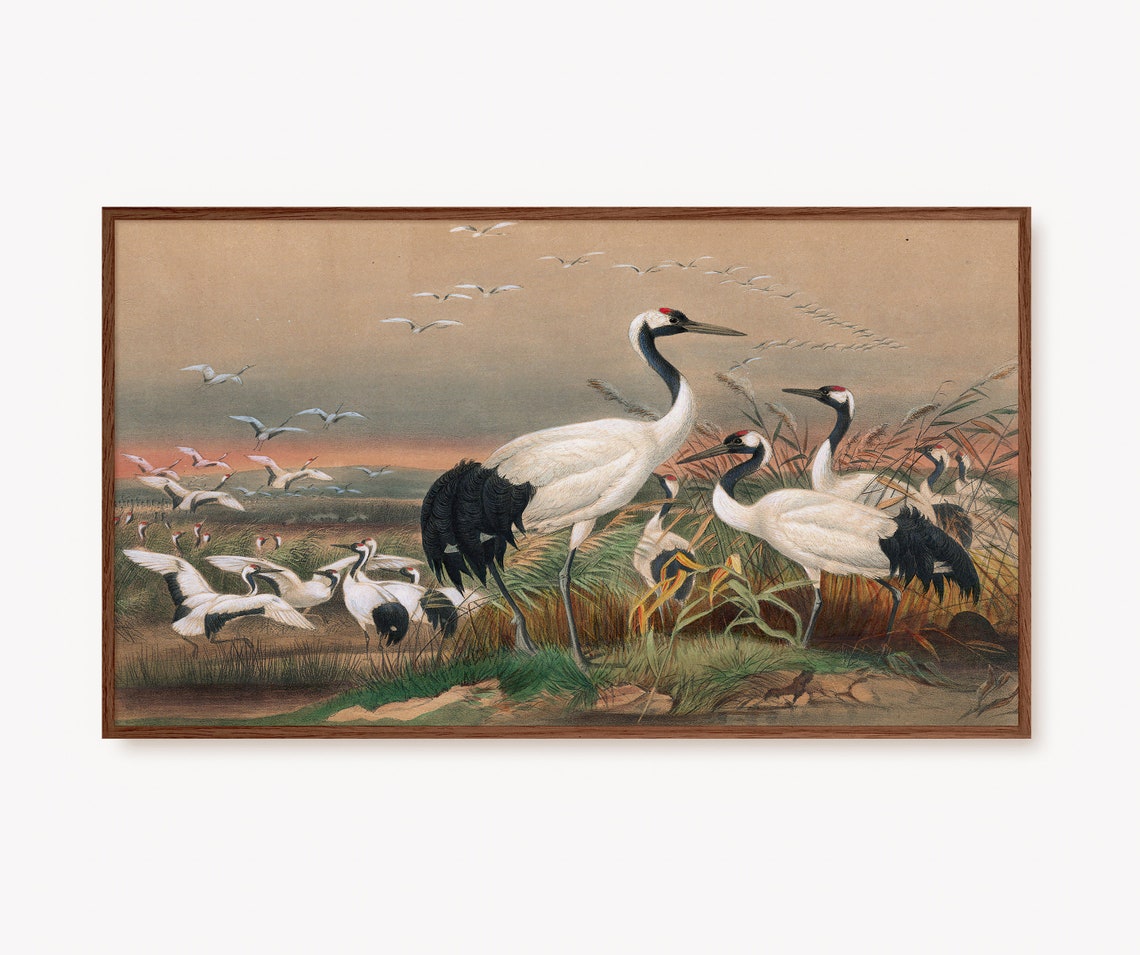 Red Crowned Japanese Cranes At Sunset Vintage Bird Art Print
