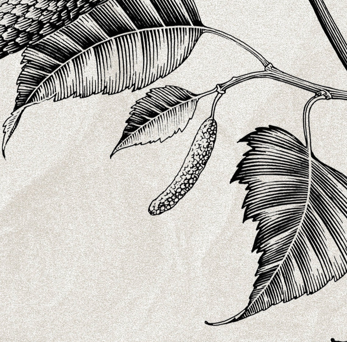 Vintage Botanical Branch Sketch Monochrome Floral Line Study Wall Art - Image 2