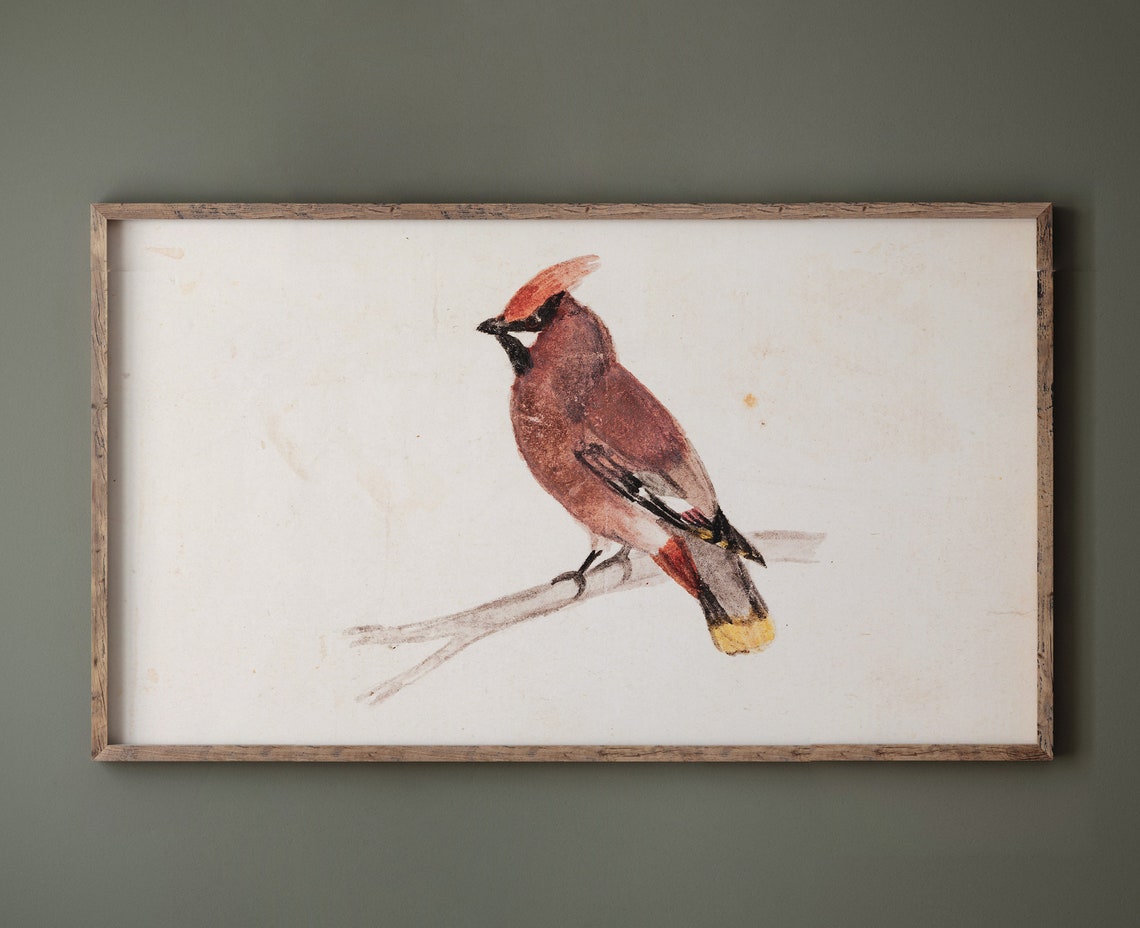 Christmas Tv Art Christmas Frame Tv Art Vintage Waxwing Bird Painting Cute Christmas Art Xmas Nature Art Prints Holiday Tv Art - Image 2