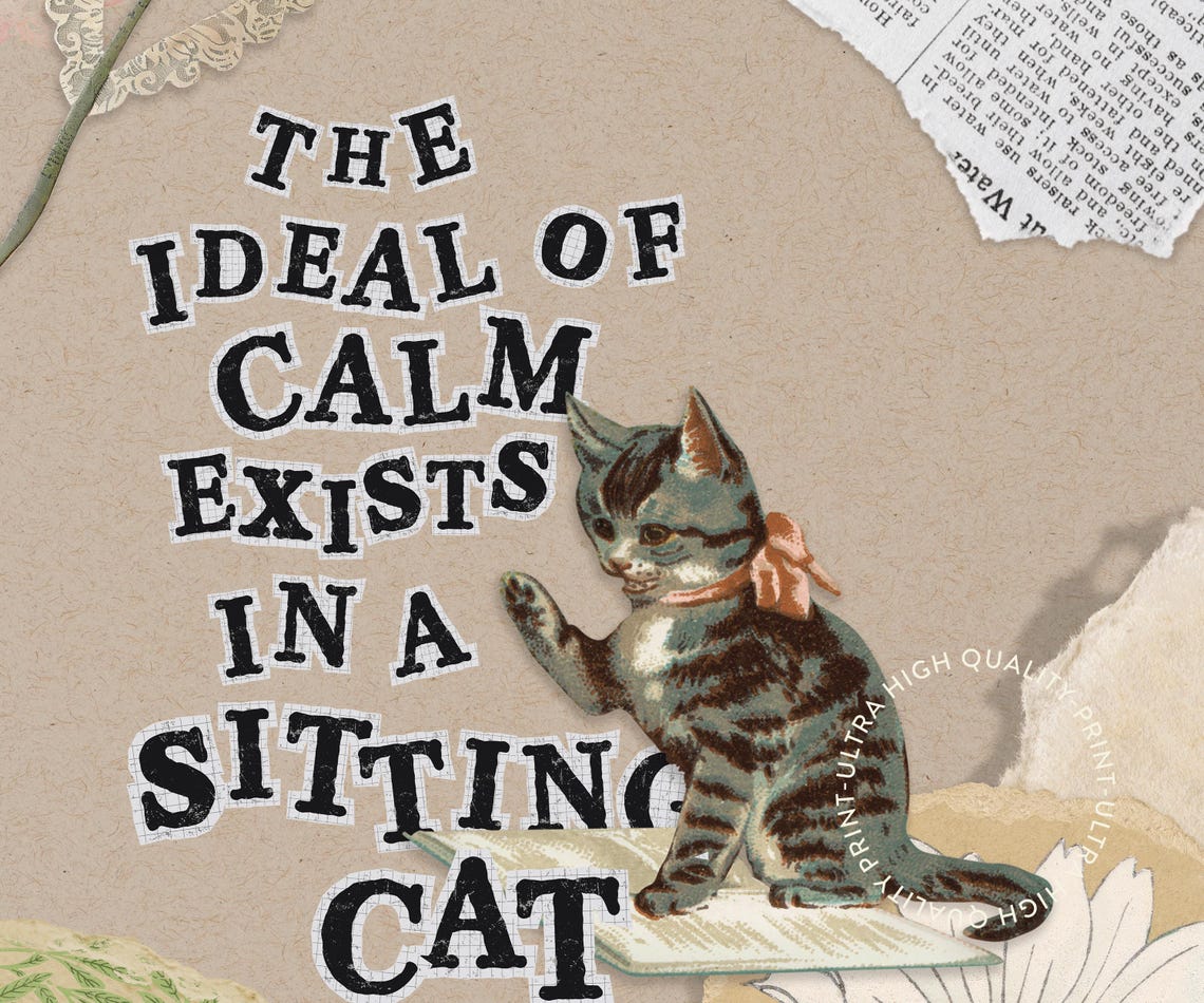 Sitting Cat Calm Quote Vintage Collage Kitten Daisy Animal Art Print - Image 5