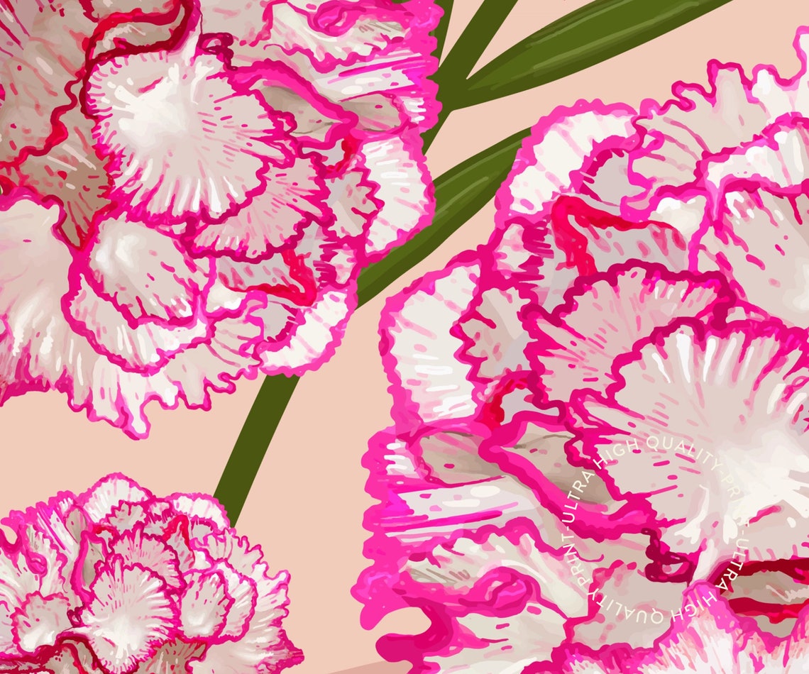 Pink Carnation Flower Market Botanical Collection No 19 Wall Art Print - Image 5