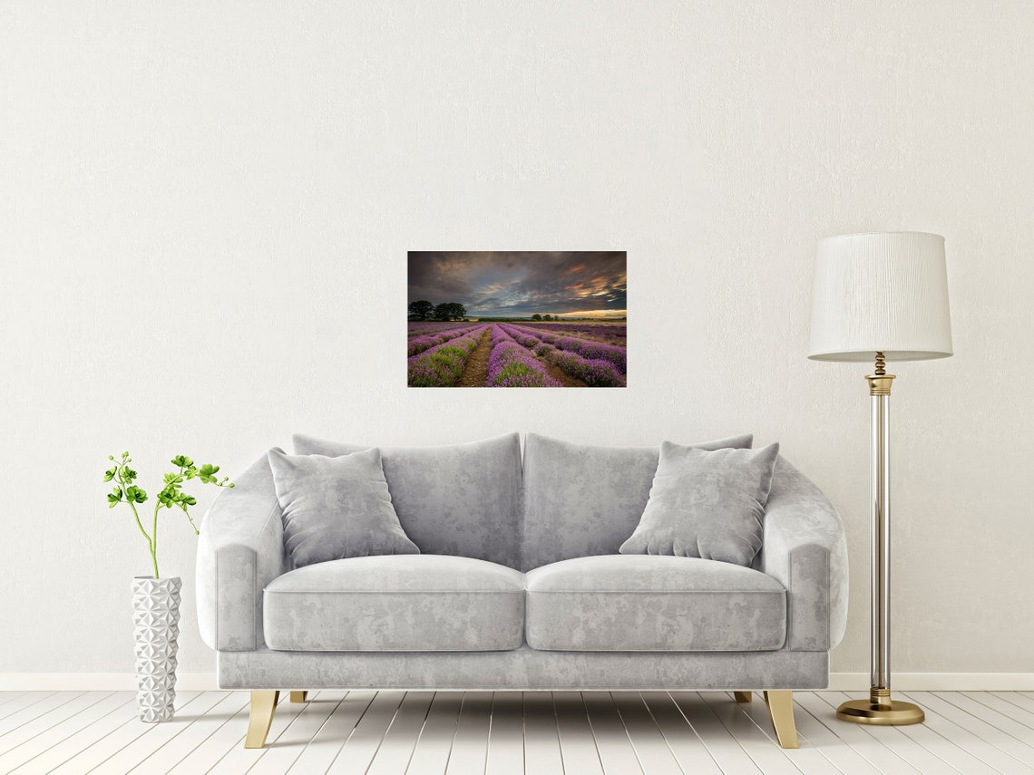 Purple Lavender Field Sunset Hampshire Rows Dramatic Sky Poster - Image 2
