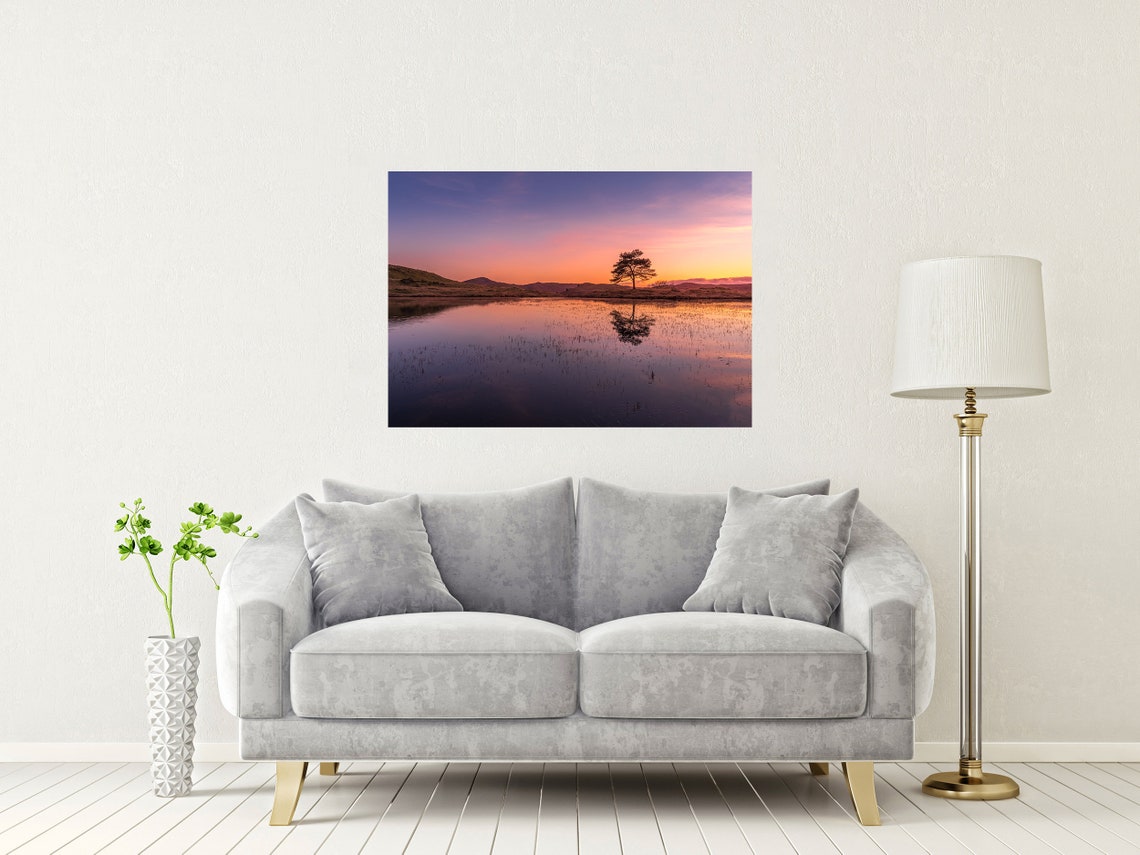 Kelly Hall Tarn Coniston Water Lone Tree Sunset Reflection Poster - Image 2