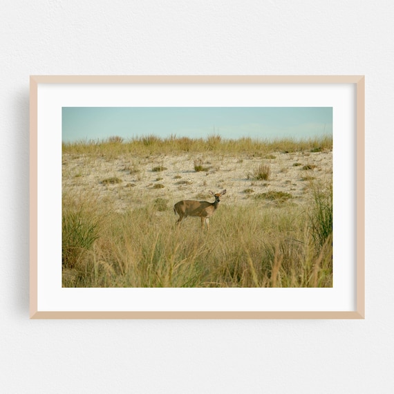 Fire Island Print New York Wall Art Nature Framed Deer Home Decor Landscape Poster Rural Fine Wildlife Pastel Scenic