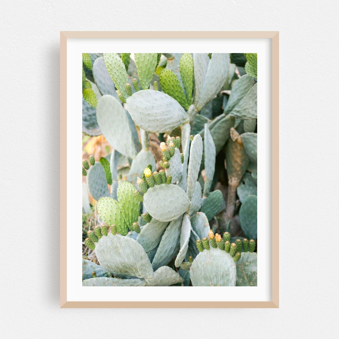 Balearic Islands Prickly Pear Cactus Photo Botanical Wall Art