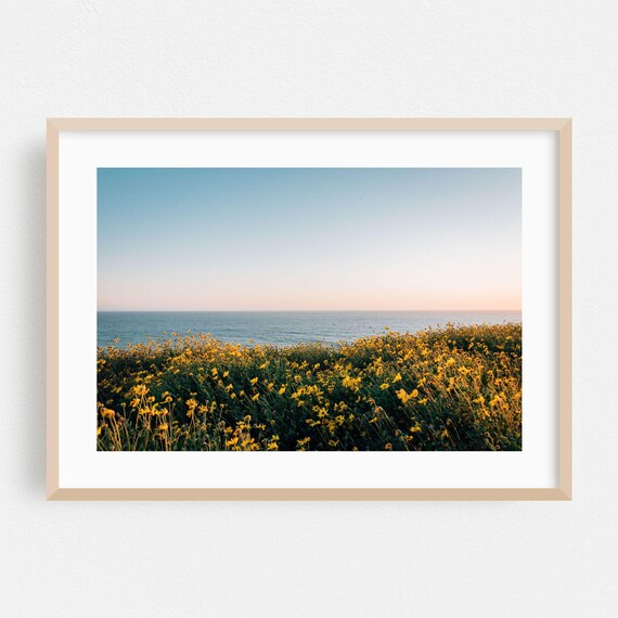 Dana Point Wildflower Field Meeting Ocean Horizon Photo Poster