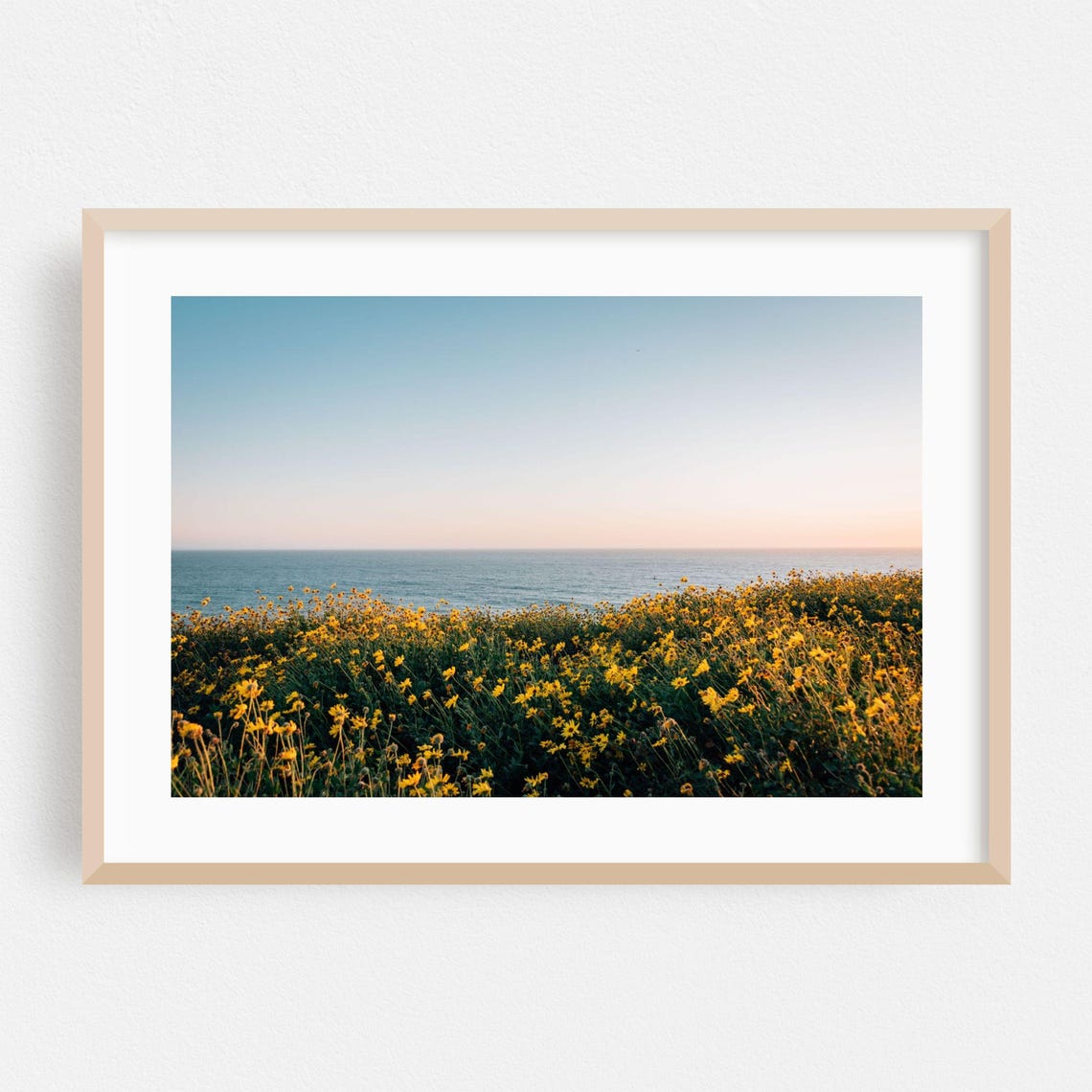 Dana Point Wildflower Field Meeting Ocean Horizon Photo Poster