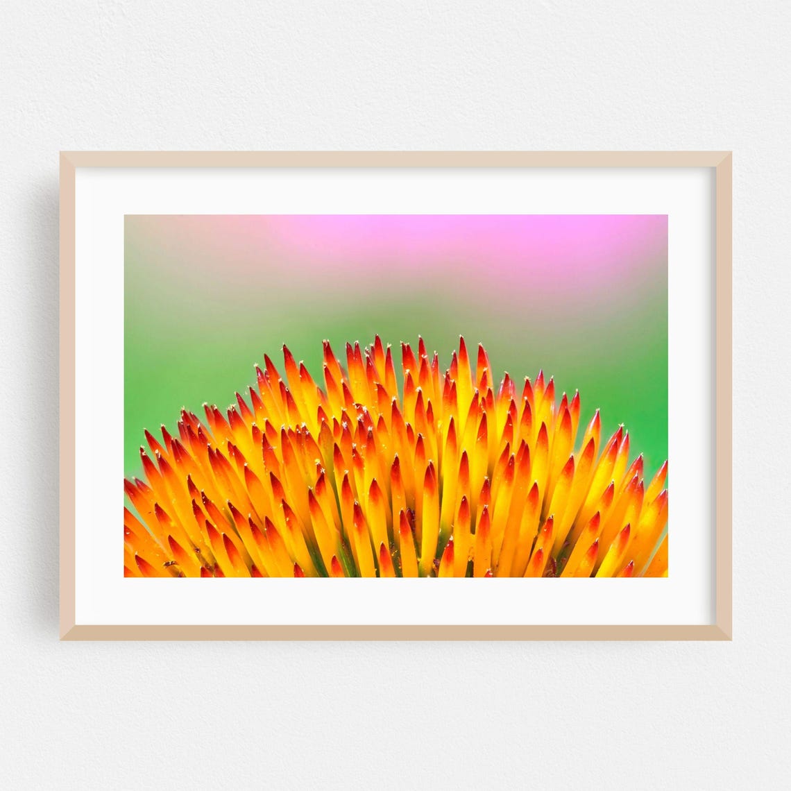 Orange Coneflower Center Macro Photography Vivid Botanical Wall Art