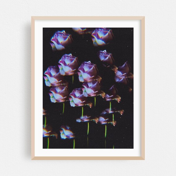 Purple Roses At Night Surreal Psychedelic Glitch Photography Poster
