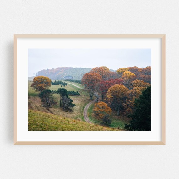Virginia Autumn Country Road Fall Foliage Photography Poster