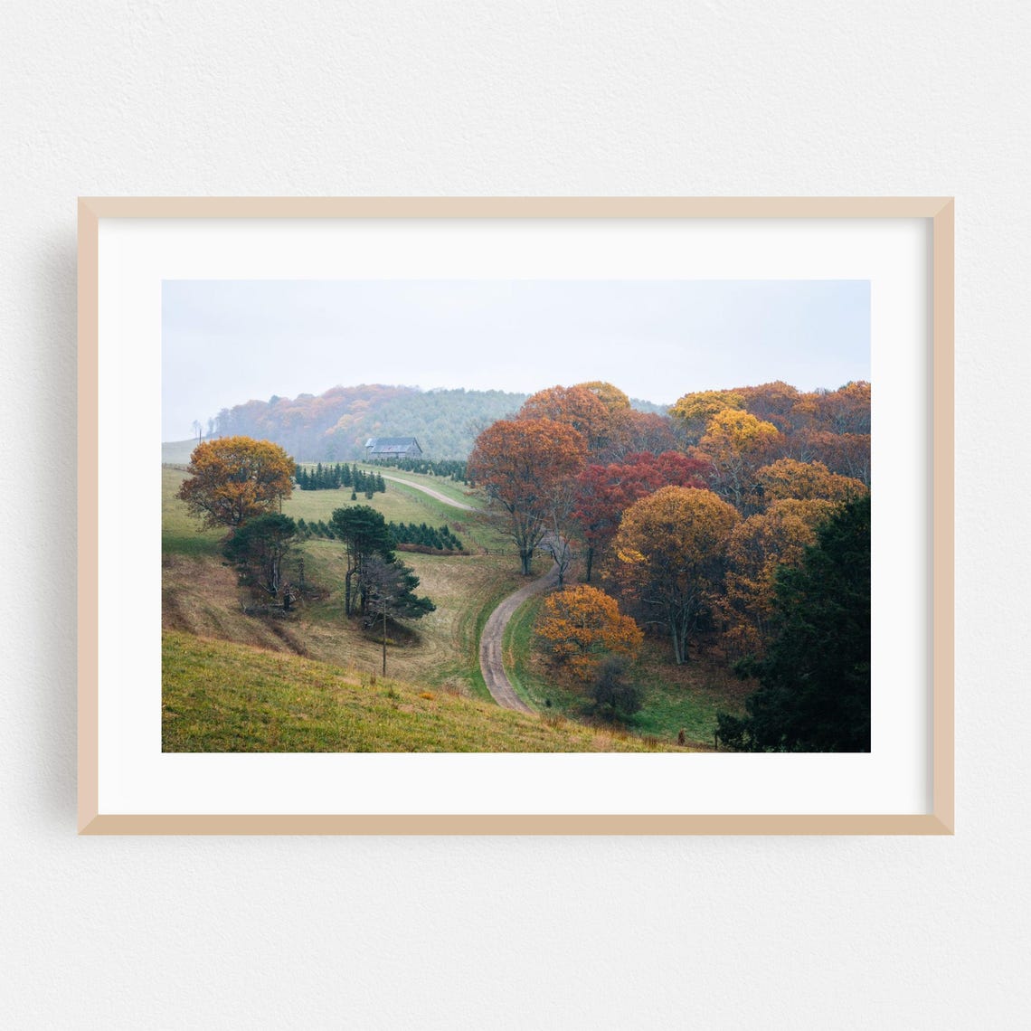 Virginia Autumn Country Road Fall Foliage Photography Poster