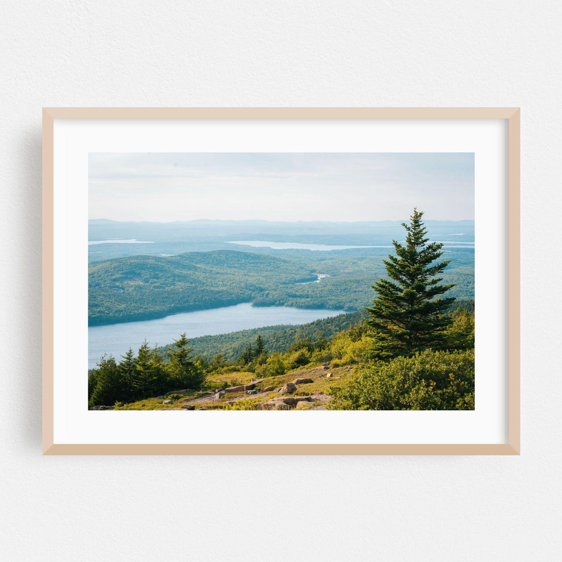 Maine Lake And Forest From Mountain Summit View Photo Poster
