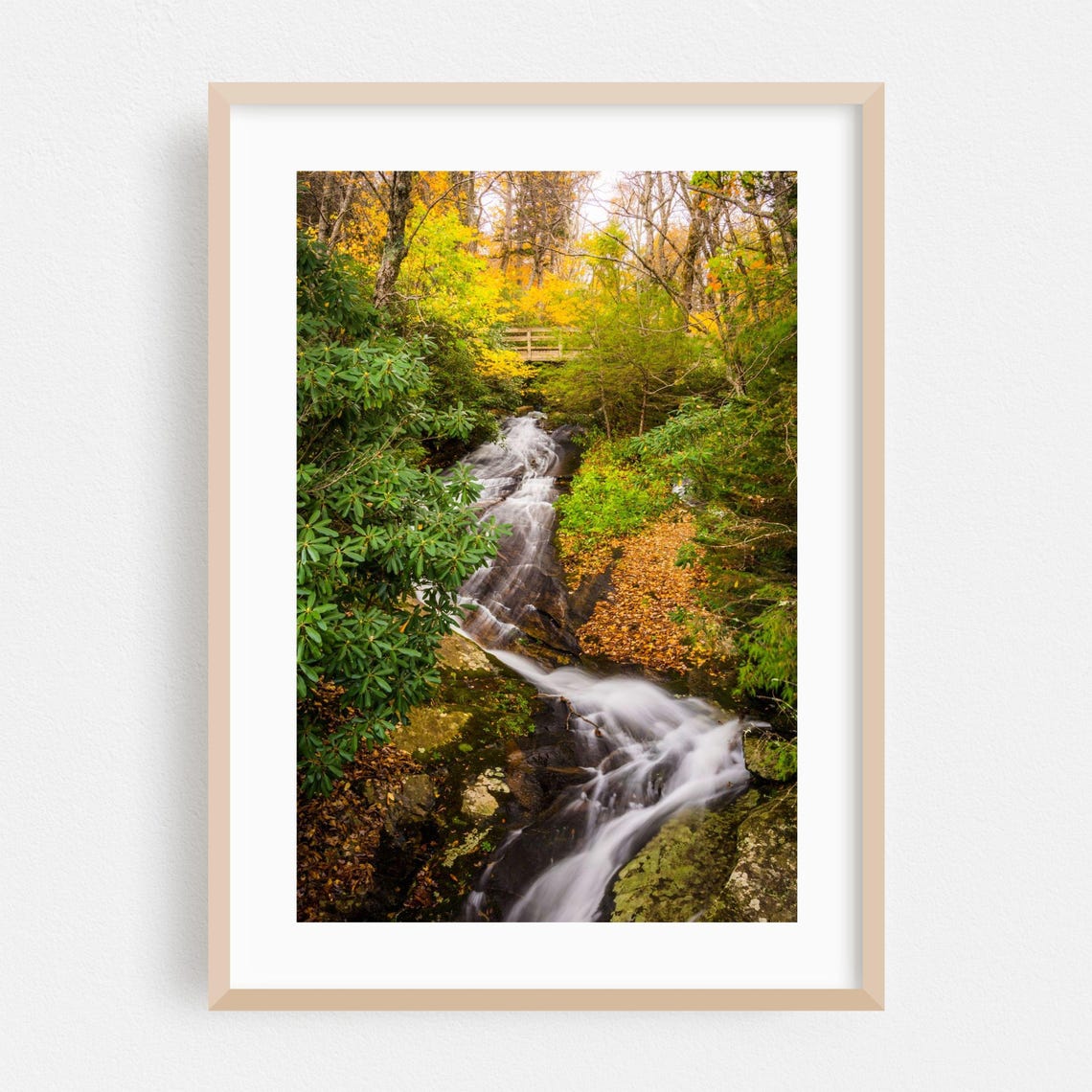 North Carolina Autumn Waterfall Forest Footbridge Photo Poster