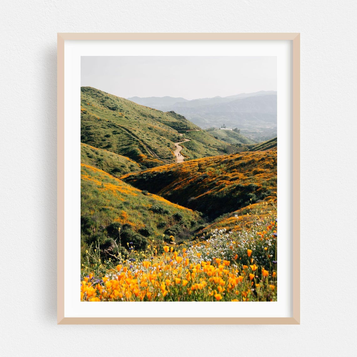 California Poppy Superbloom Hills Winding Trail Photography Poster