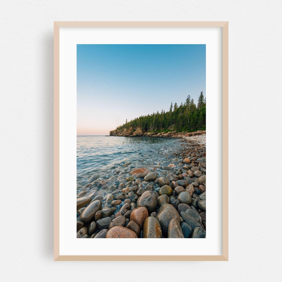 Maine Rocky Coast With Pine Forest And Ocean Sunset Photo Poster