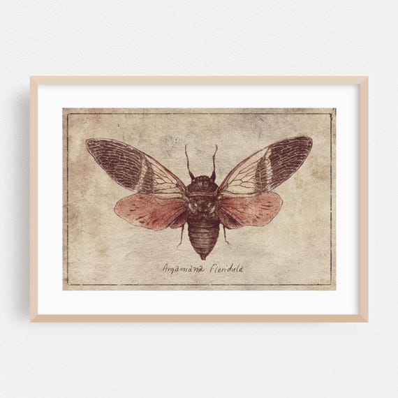 Vintage Print Insect Wall Art Botanical Framed Illustration Home Decor Nature Poster Deco Fine Drawing