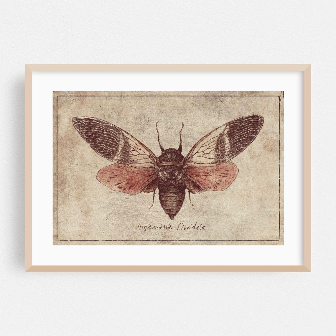 Vintage Print Insect Wall Art Botanical Framed Illustration Home Decor Nature Poster Deco Fine Drawing