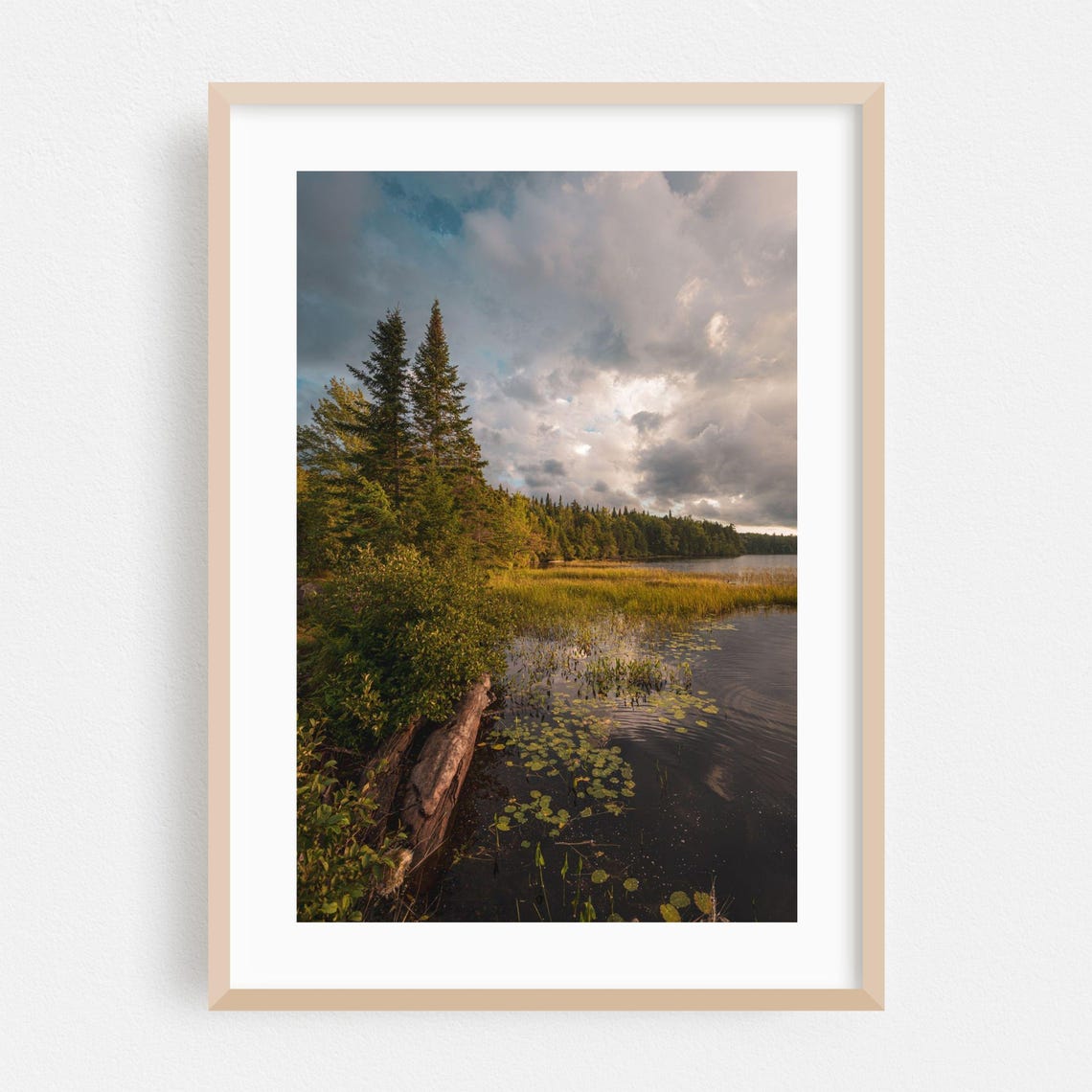 Tupper Lake New York Forest Shore Fine Art Nature Photography Poster