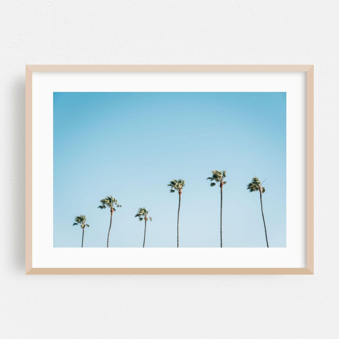 Newport Beach Tall Palm Trees Against Clear Blue Sky Day Poster