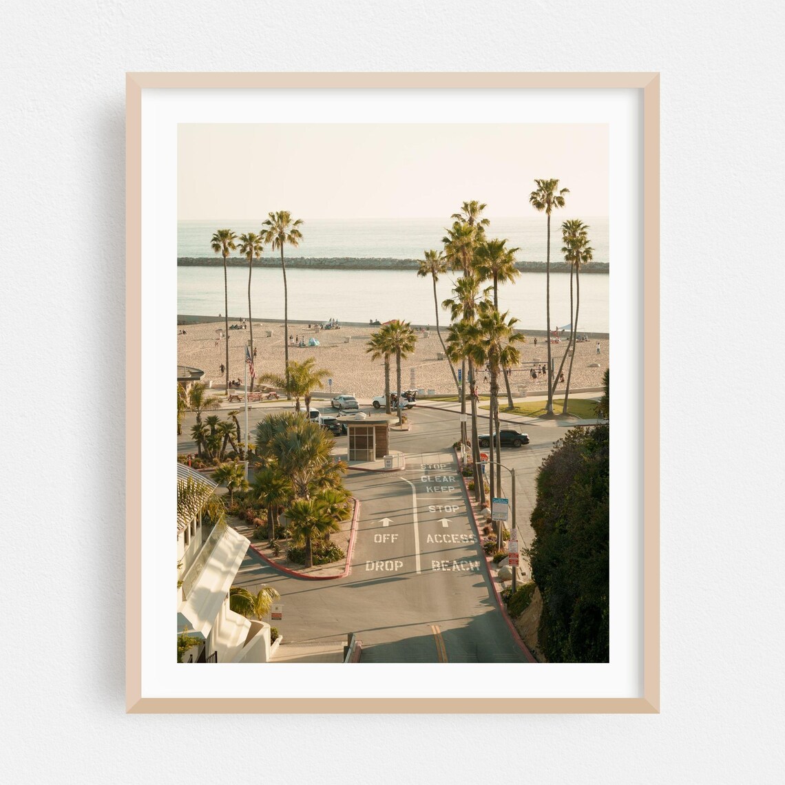 Newport Beach Palm Lined Oceanfront Street Summer Photography Poster