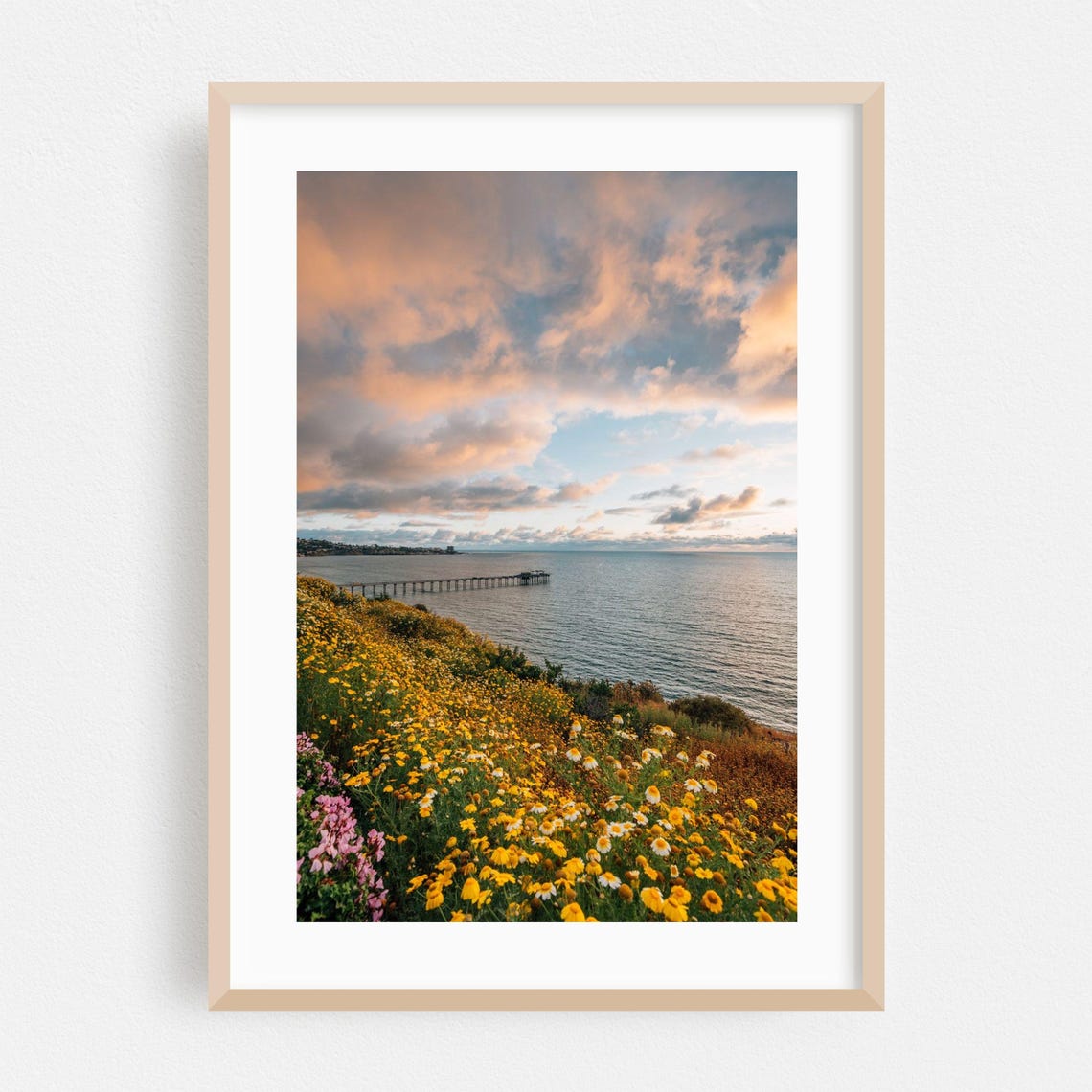 La Jolla California Wildflower Bluff Sunset Ocean Photo Poster