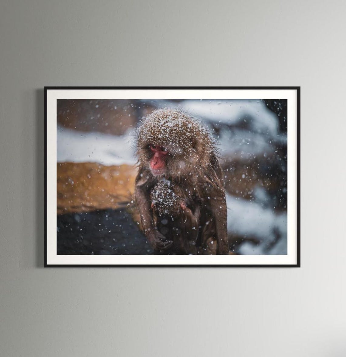 Japanese Snow Monkey Baby Falling Snow Wildlife Photo Poster