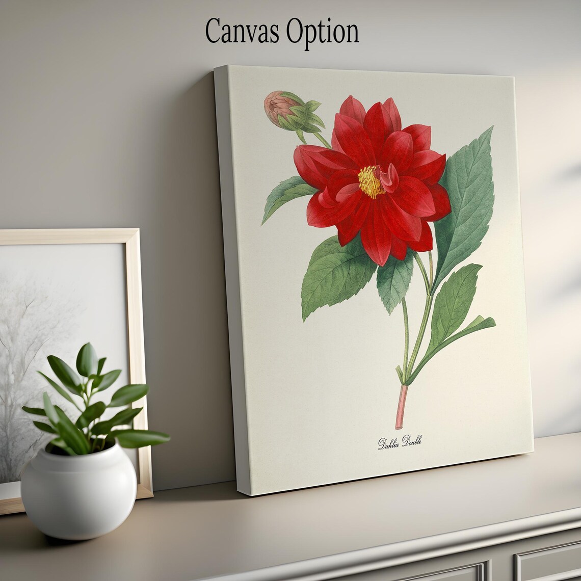 Dahlia Botanical Print, Redoute Botanical Art - Image 2