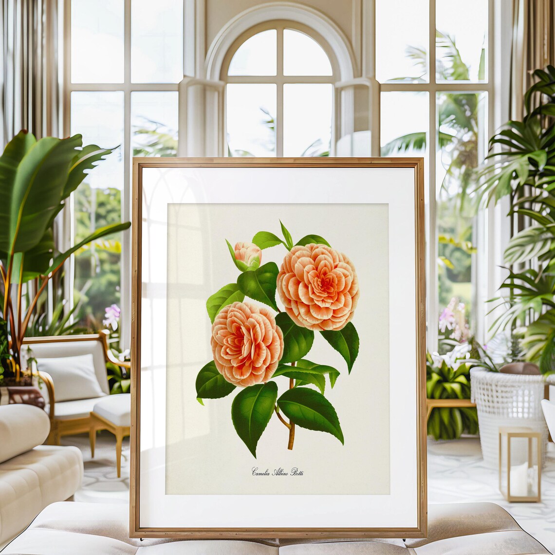Camelia Albino Botti Botanical Flower Art Print - Image 3