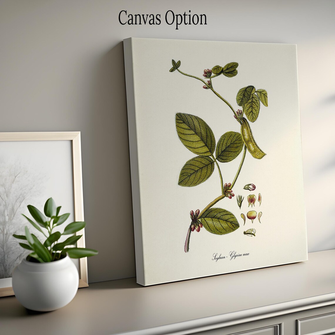 Soybean Botanical Art Print, Glycine Max Farmer Gift - Image 2