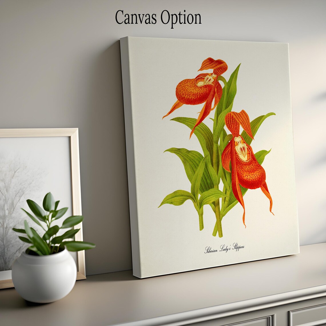 Siberian Lady's Slipper Botanical Art Print - Image 2