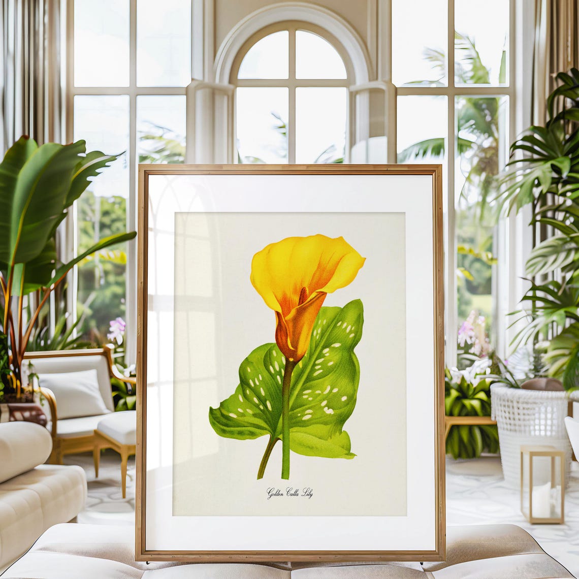 Golden Calla Lily Botanical Art Print - Image 3