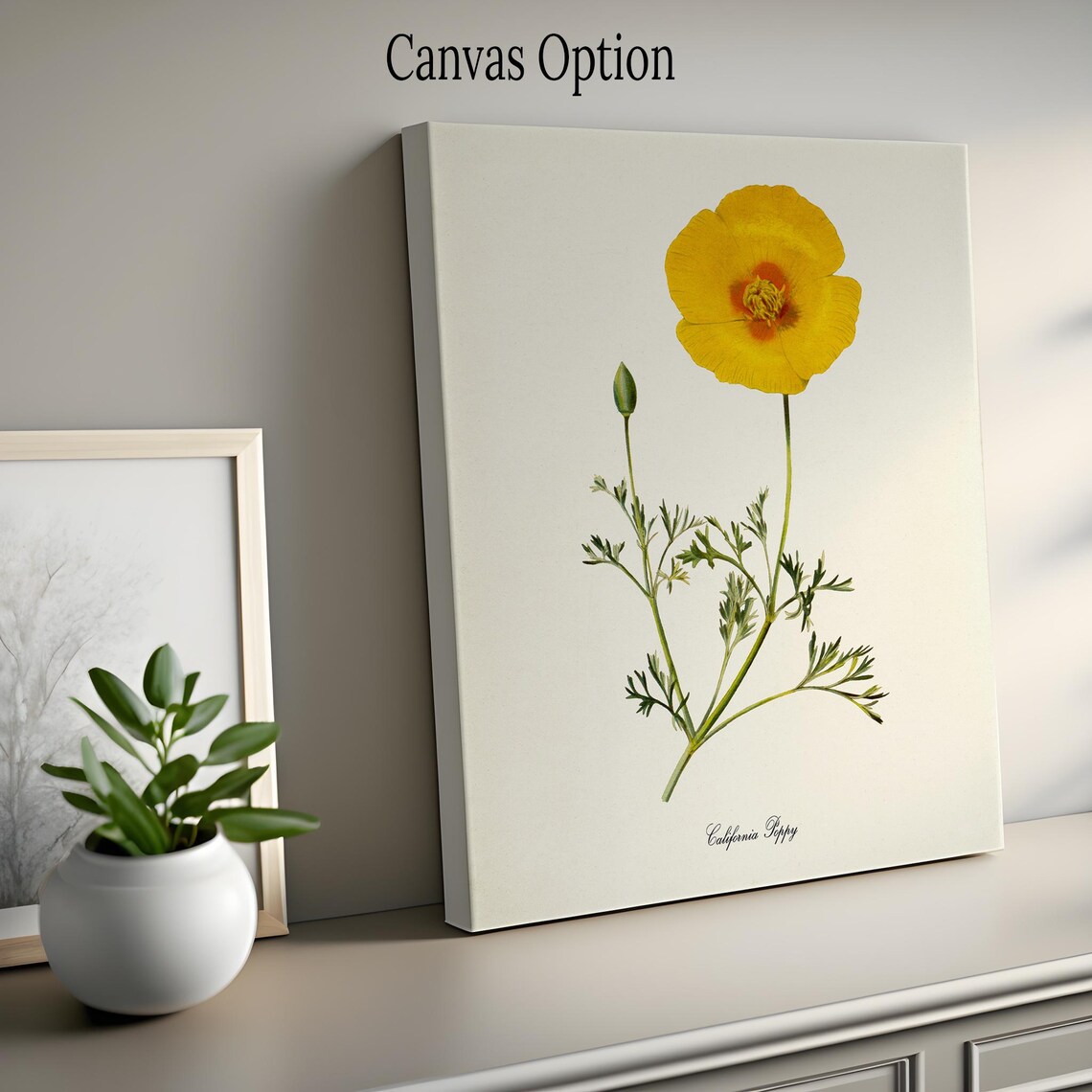 California Poppy Flower Art Print, Botanical Art Print - Image 2