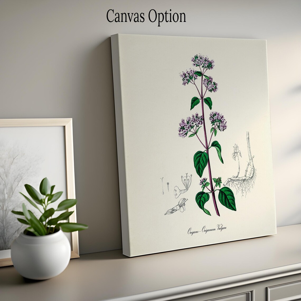 Oregano Botanical Art Print, Origanum Vulgare - Image 2
